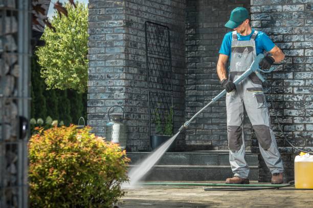 Animal Enclosure Cleaning in Millbury, OH